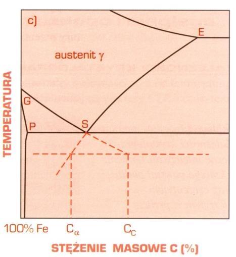 Przed płytkami Fe 3 C stężenie C w Fe wynosi C c a przed płytkami ferrytu - C. Grubość płytek Fe 3 C jest około siedmiokrotnie mniejsza od grubości płytek Fe.