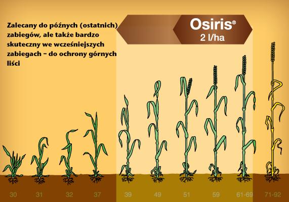 https://www. Osiris 65 EC działa nie tylko na powierzchni kłosa, ale także w jego wnętrzu, co czyni go bardzo skutecznym środkiem.