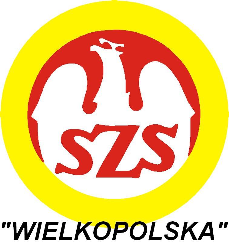 XIX WIELKOPOLSKIE IGRZYSKA MŁODZIEŻY SZKOLNEJ ROK SZKOLNY 2017/2018 REGULAMIN Mistrzostwa Szkół Województwa