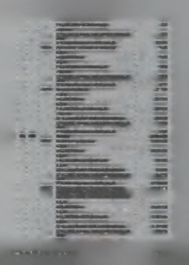 1) wydatki jednostek budżetowych 214 214 4) świadczenia na rzecz osób fizycznych 124 120 85446 Dokształcanie i doskonalenie nauczycieli 9 635 a) wydatki bieżące 9 635 1) wydatki jednostek budżetowych