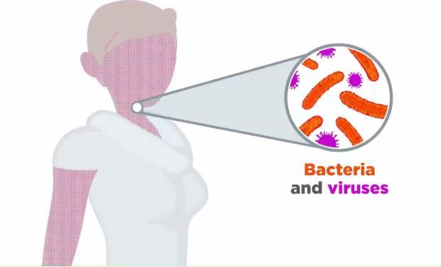 1.Do organizmu wnikają bakterie/wirusy,