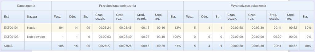 Raport sumaryczny dla