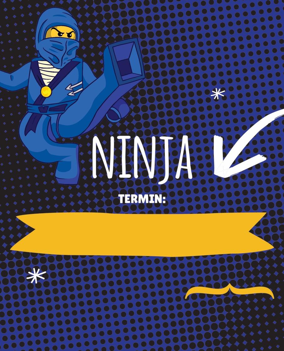 ROBOTYKA DLA JUNIORA (dzieci 6-12 lat) NINJA Naprzód młodzi wojownicy Ninja! Bądźcie gotowi aby bronić honoru i walczyć o pokój!