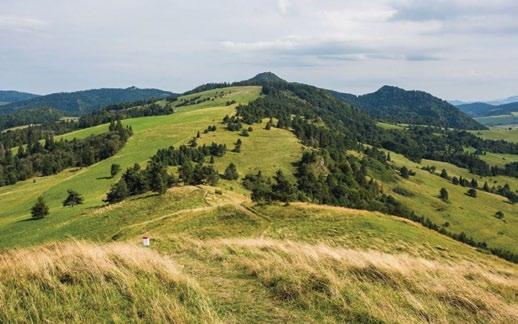 łącznie ok.:18 zł/os normalny, 13 zł/os ulgowy) TARNÓW, ZALIPIE, DebNO godz. 6.