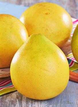 Pomelo Chiny 4 99