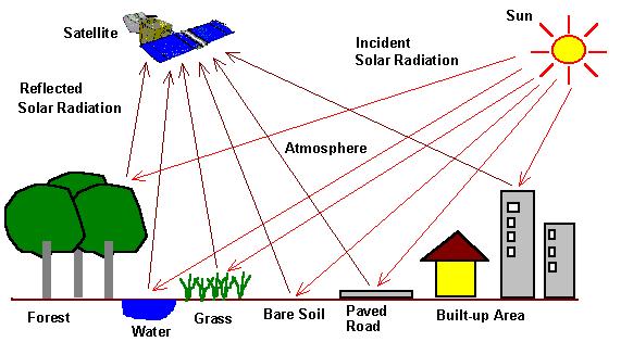 Pomiary satelitarne w ekologii Satelita Odbite