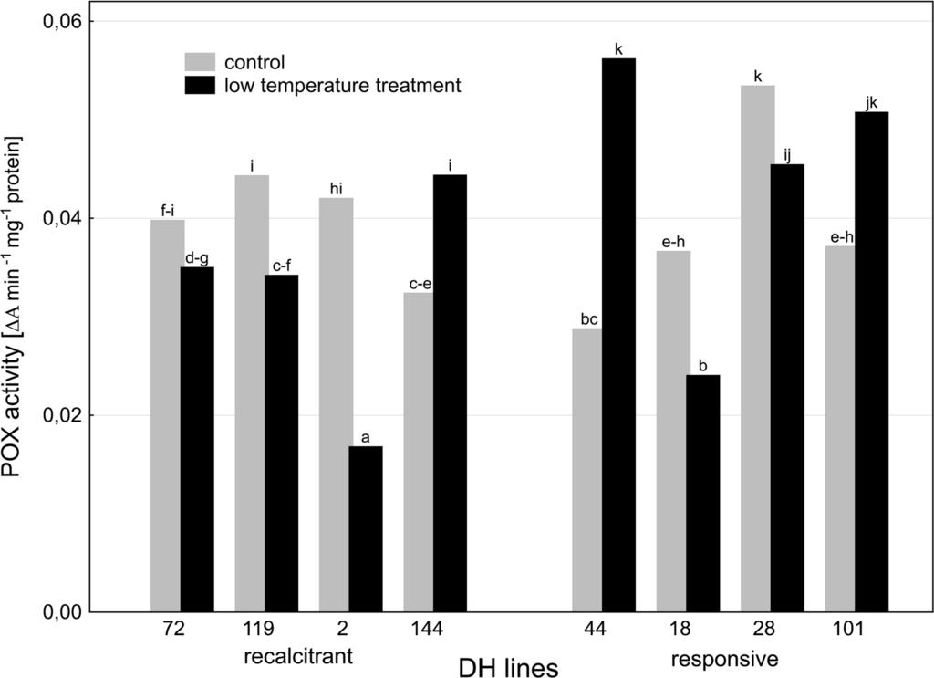 Wittm.). Control means anthers isolated from freshly cut tillers. Presented data are the means of four biological replications.