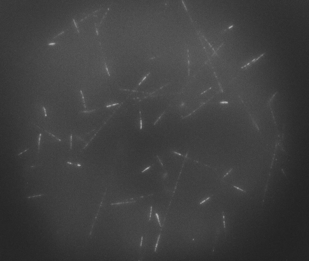 6 Li(n,α) 3 H α particle 4 He, E