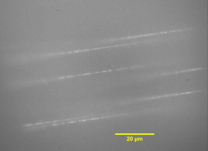 Planowane eksperymenty: He 150 MeV/n, C 290 MeV/n, 400 MeV/n