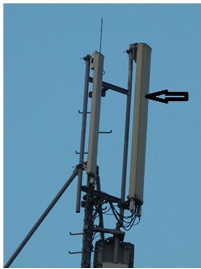 Okablowanie, które przenosi sygnał z nadajnika do anteny, to A. B. C. D. fider. tłumik. coupler.