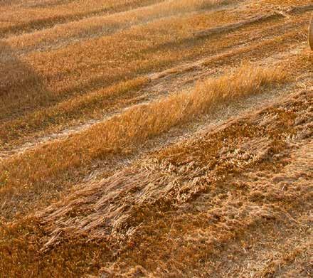 Valtra SmartTouch.
