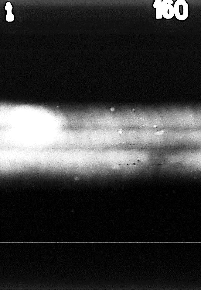Rys. 7 Digitalizowany radiogram analogowy spoiny W1 widoczne wskazania przyklejenia + pęcherze (4012+2011) x 1= 158,5 160 cm Fig.