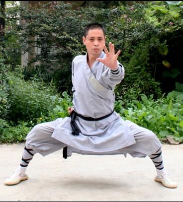 Shaolin ( 少林 ) jest nazwą buddyjskiego klasztoru ( 寺 ), położonego w centralnych Chinach, gdzie Shao oznacza młody, zaś lin oznacza las. Ba ( 八 ) oznacza chińską cyfrę osiem.