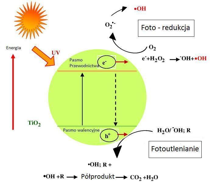 Fotokataliza heterogeniczna z zastosowaniem TiO 2 rozwija się od lat 70-tych, kiedy to Fujishima i Honda [4] opublikowali w Nature pierwsze wyniki badań nad fotokatalitycznym rozkładem wody na