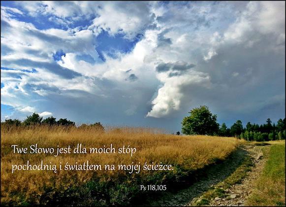 zdj. i dobór
