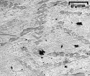 Formation of Graded Structures and Properties in Metal Matrix Composites.