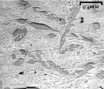 It should be noted that mathematical modeling and numerical simulation are extremely helpful instruments for design and characterization of FGMs [22], which are, in fact, typical