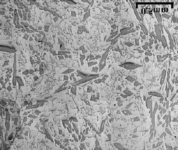 and lower sample region, after [24] Figure 3. Distribution of Al 3Ni phase in Al 12 wt.