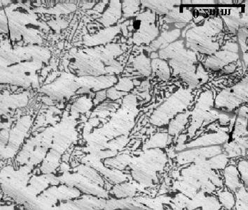 Formation of Graded Structures and Properties in Metal Matrix Composites.