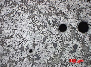 Formation of Graded Structures and Properties in Metal Matrix Composites... small size can be observed in this region.