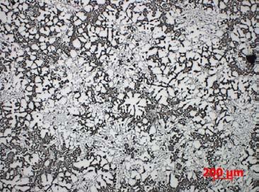 Structure and porosity of ingot from F3S.