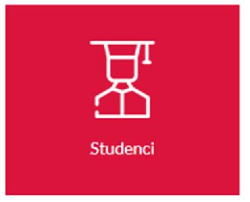 Programy dla studentów 1. Program stypendialny dla Polonii (I, II stopień dla cudzoziemców polskiego pochodzenia; roczny kurs przygotowawczy) 2. Program stypendialny im.