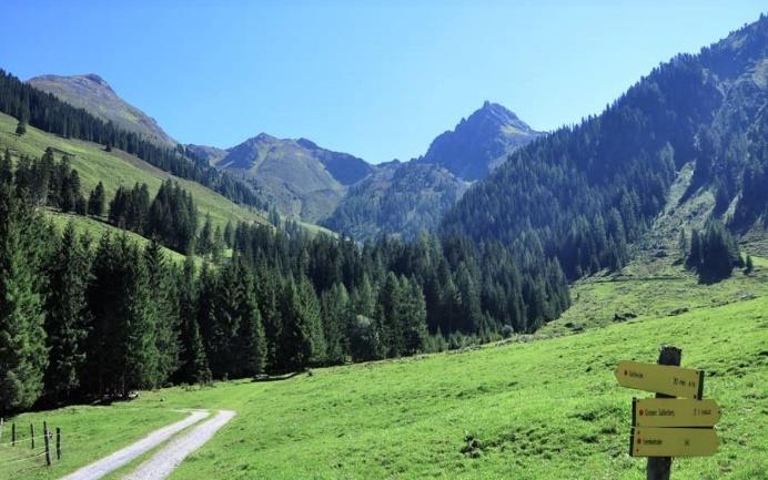 Lamsenjochhütte (1953) Lamsenspitze (2508) -