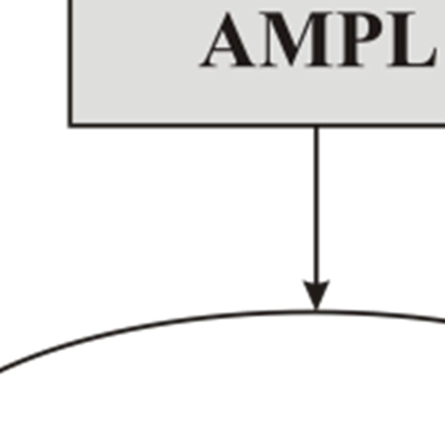 W pierwszym etapie tworzenia mo modelu delu przy pomocy zestawu polece poleceń, które tworzą język j zyk modelowania AMPL zapisywany jest plik