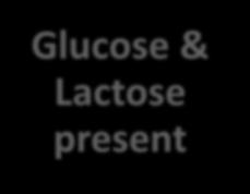 If there occurs no glucose metabolism