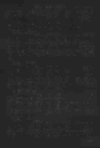 29. Reverendus Gregorius Kowalski vicarius institutus collegiatae Voyniciensis [benedixit matrimonium:] Laboriosus iuvenis Stanislaus Nosek rustici filius legitimus, cum laboriosa virgine Magdalena