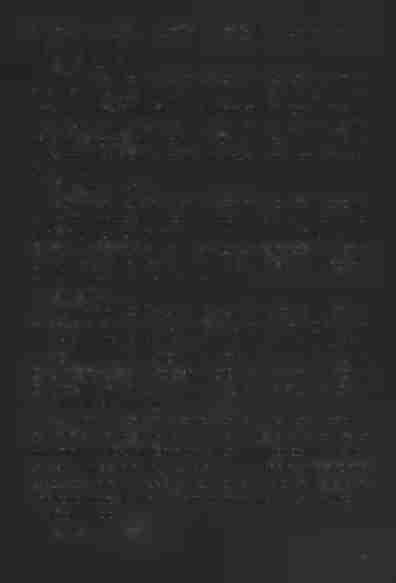 sticus hortulanus, laboriosus Stephanus Tyndera rusticus hortulanus, ambo de Mikolajowice. [116] Woynicz, 96. 16.