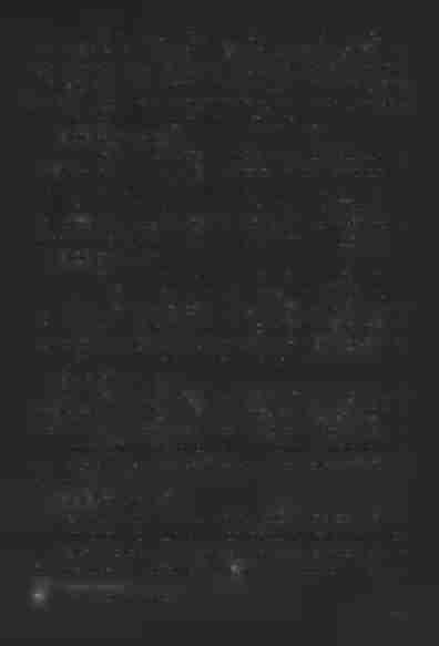21. Reverendus Joannes Adamecz vicarius institutus Voyniciensis [benedixit matrimonium:] Laboriosus Thomas Casimiri Łasko rustici hortulani filius, cum laboriosa virgine Francisca Stanislai Nowak
