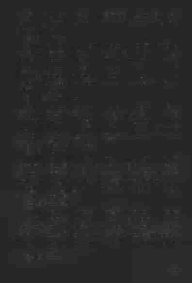 lena Stanislai Duda filia de Łoponie. [Testes:] Laboriosus Adalbertus Krawczyk rusticus hortulanus de Biadoliny, Josephus Tyndera voit de Łoponie. [244] Ratnawy, 5.