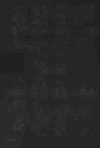 25. Reverendus Joannes Adamecz [benedixit matrimonium:] Laboriosus iuvenis Gasparus Sebastiani Bodzioch rustici hortulani filius, cum laboriosa virgine Elisabetha Ludovici Stolarczyk filia.