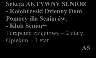 Klub Senior+ Terapeuta zajęciowy 2 etaty, Opiekun