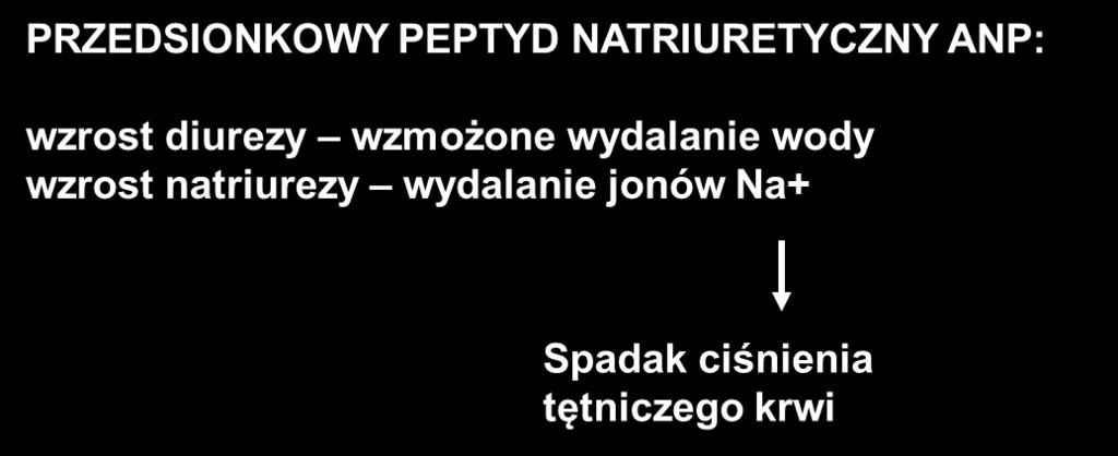 Czynność nerek Wazopresyna (ADH) hormon antydiuretyczny (nabłonek kanalików odcinka dalszego nefronu staje się