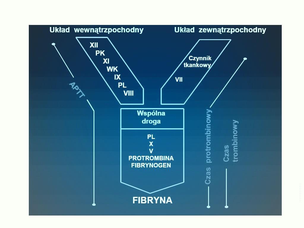 Rozpoznanie hemofilii wywiad osobniczy objawy krwawienia wywiad rodzinny badanie fizykalne testy przesiewowe hemostazy morfologia układ krzepnięcia PT APTT