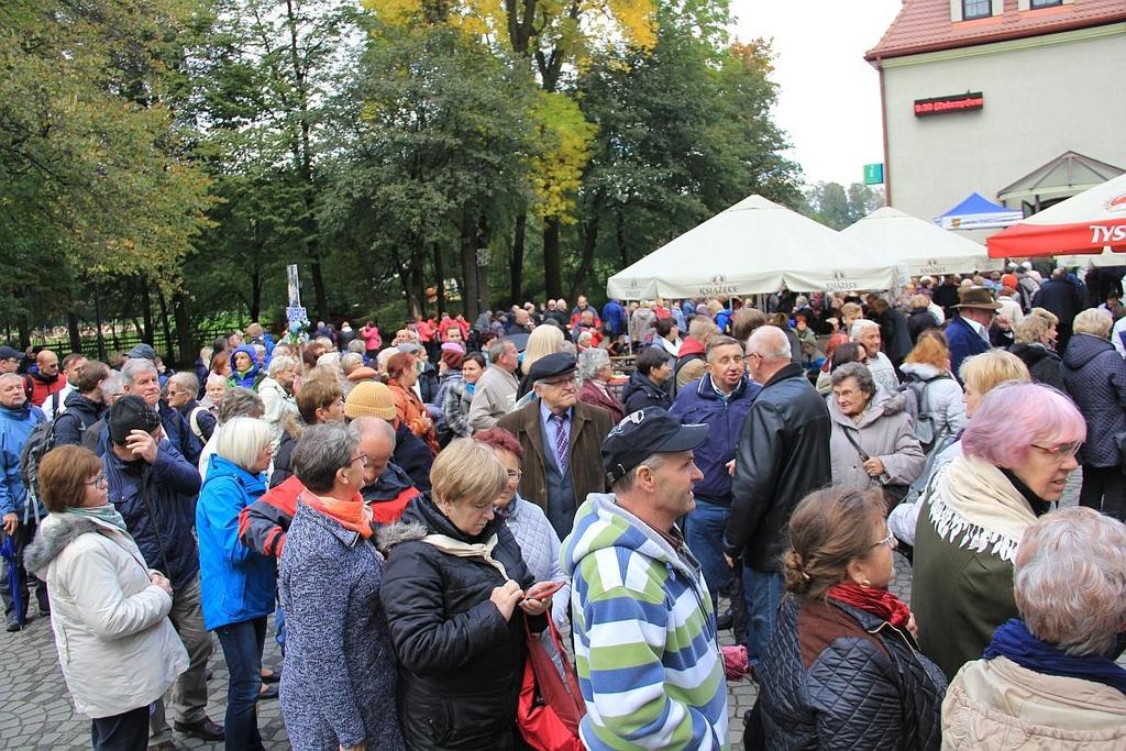 Po MSZY św.