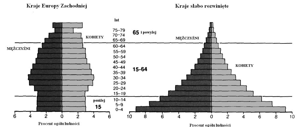 5. Wskazuje przyczyny i skutki różnych wydarzeń i procesów. Zadanie (2 pkt.