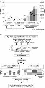 :488 503 Lang et al. (010), Genome Biol. Evol.