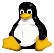 X wersja 10.12 (Sierra) i nowsza Linux Ubuntu wersja 16.