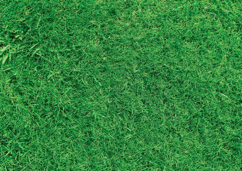 UKŁADANIE PŁYT TARASOWYCH NA TRAWIE Układanie płyt tarasowych 2.0 bezpośrednio na trawniku pozwala na bardzo szybkie zaaranżowanie i wykonanie ścieżki, a także strefy wypoczynkowej w ogrodzie.