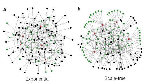 Perkolacja w klasycznych grafach przypadkowych ODPORNOŚĆ SIECI R.Albert, H. Yeong, A-L.Barabasi Error and attack tolerance of complex networks NATURE vol.