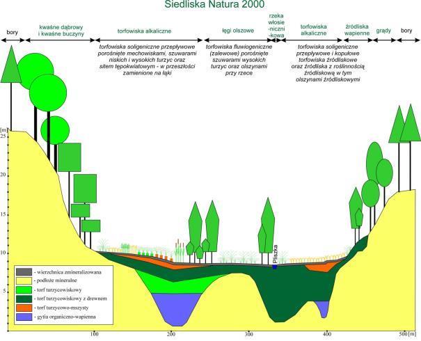 17 Rozmieszczenie siedlisk Natura 2000 w przekroju poprzecznym