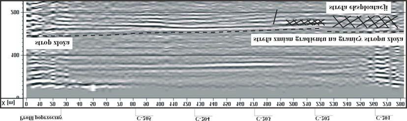 209 Rys. 9. Sekcja gradientu amplitudy po 6 miesi¹cach eksploatacji i jego anomalia pomiêdzy C201-C202 Fig. 9. Section of amplitude gradient after 6 months of exploitation.