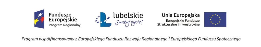 II. OCENA MERYTORYCZNA DZIAŁANIA WSPÓŁFINANSOWANE Z EFRR WDRAŻANE PRZEZ LAWP E.