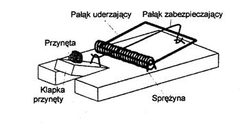 Pułapka na myszy - czy