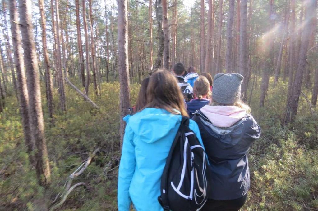 Torfowisko wysokie Torfowiska wysokie (mszary) - powstają w obniżonych