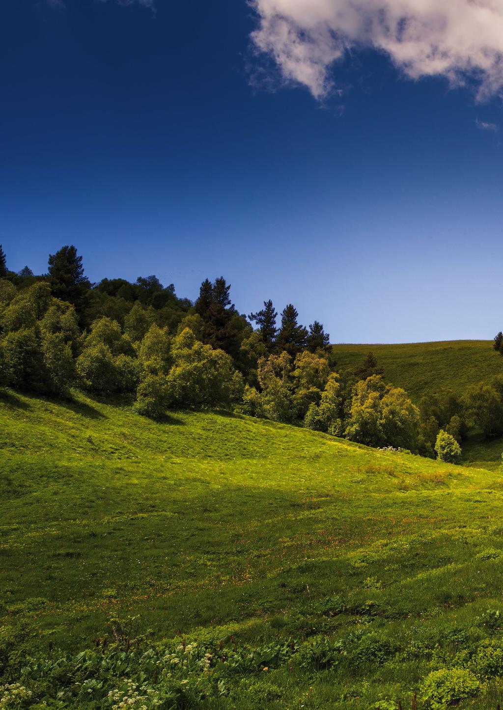 Quadra Green i Quadra II KOTŁY KONDENSACYJNE I STANDARDOWE NA KAŻDĄ KIESZEŃ! Kotły QUADRA GREEN i QUADRA II to wysokiej jakości kotły gazowe w wyjątkowo atrakcyjnych cenach.