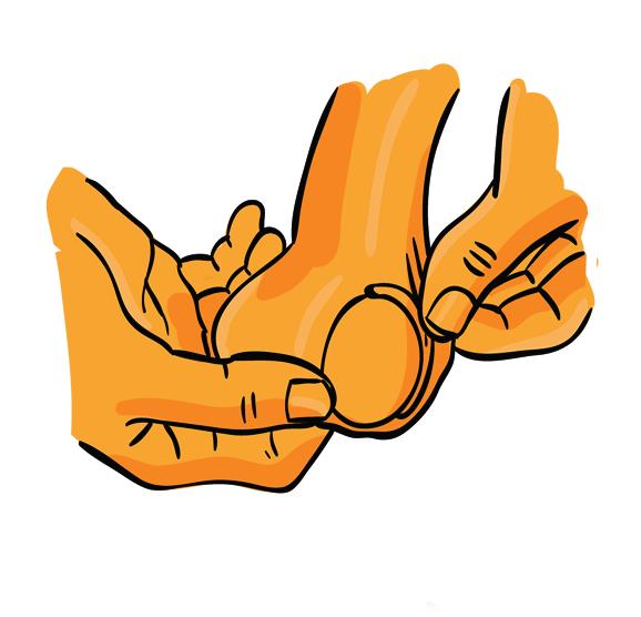 1. DELIKATNIE UCISKAJ I PRZETACZAJ JĄDRA Najpierw przetaczaj jądro delikatnie między kciukiem a palcem wskazującym, sprawdzając, czy wyczuwasz pod skórą jakiegokolwiek zgrubienia, grudki.